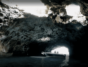 d8821efe-38d4-4d6e-b97a-0965dc6e8d42