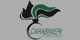 7cbd76e8-264a-466c-9e97-ba0115bd89a4