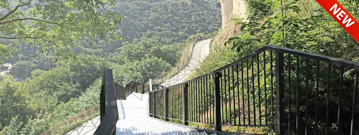 d00b205f-e5d8-4d96-a94f-1827f48e63a3