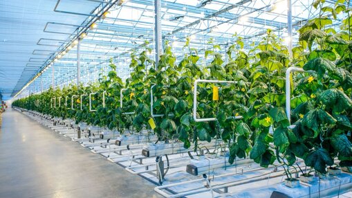 b596f759-3d7c-4bfb-9f82-d47be7010d12