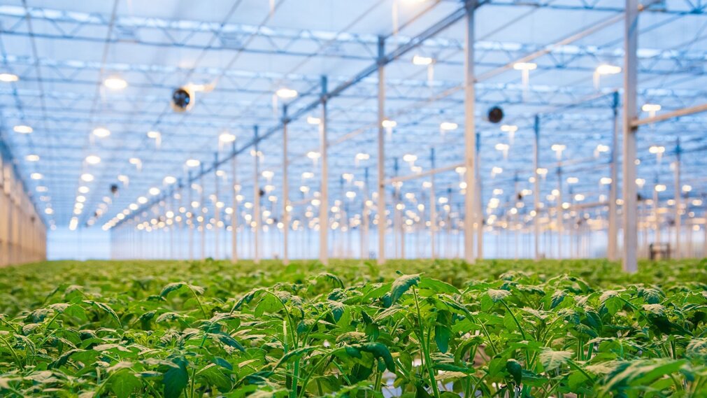 586ea97f-dbf1-4059-83cf-25f141514c89