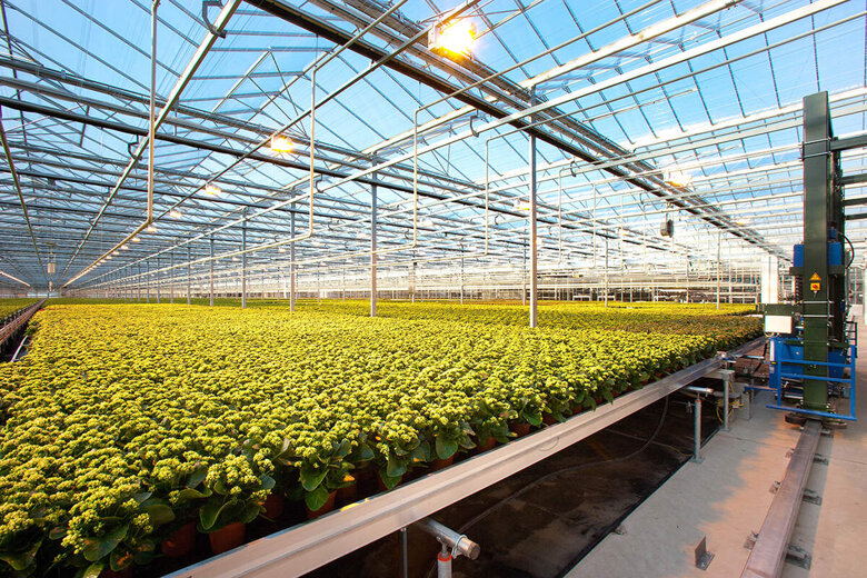 c279fd2a-3248-4ca8-8161-9975e45b6d15