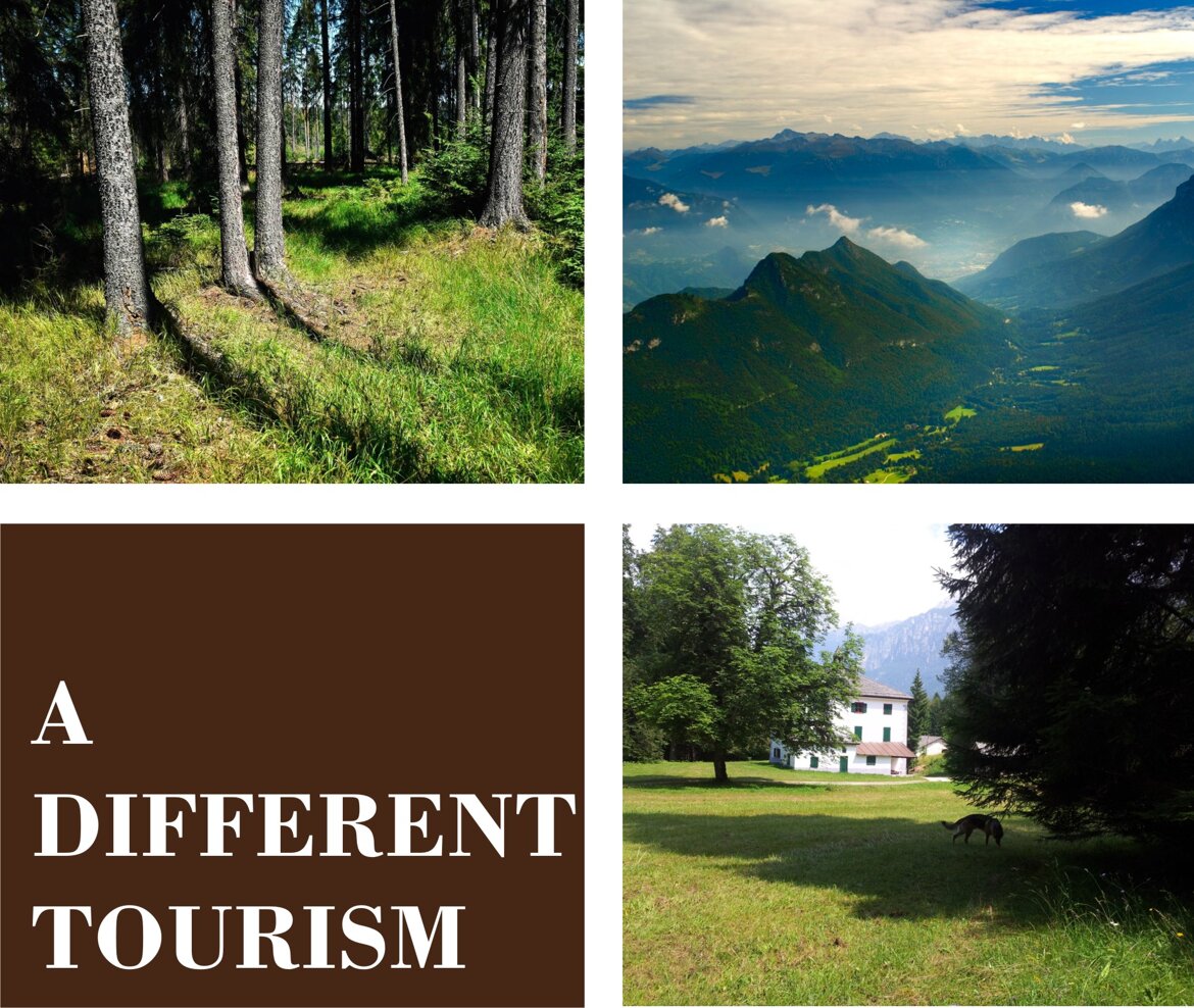 f0a4c11f-32bd-4310-9e21-038086fe8164