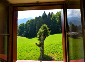 498d59b4-f152-4024-9a36-bb08758bf5f2