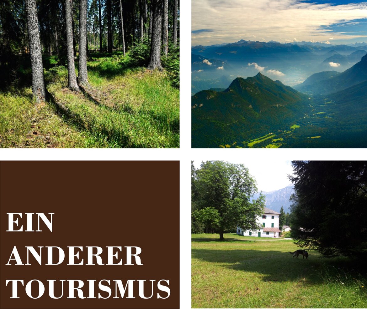 7215178b-921c-40e6-98d2-393519b4f303 7215178b-921c-40e6-98d2-393519b4f303