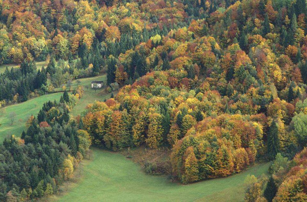 ed2825be-32fb-445c-9c69-b95d7869c219 ed2825be-32fb-445c-9c69-b95d7869c219