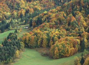 6cb746a5-e1c2-46d5-8630-e19ced3c32a2 6cb746a5-e1c2-46d5-8630-e19ced3c32a2