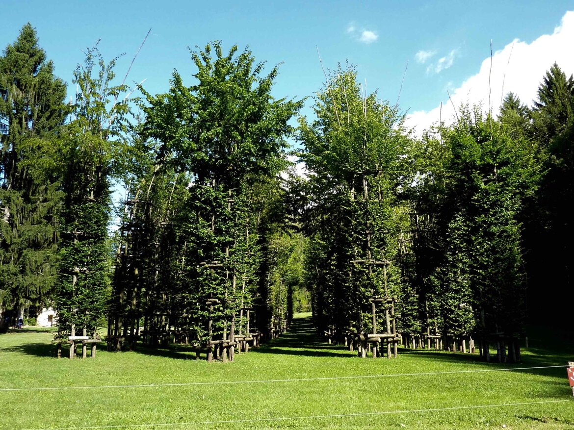 fc47b311-973e-4574-a105-7dcd5e6c3875