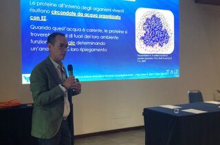 Pubblicazioni scientifiche di Marco Verzella su osteopatia, neonatologia