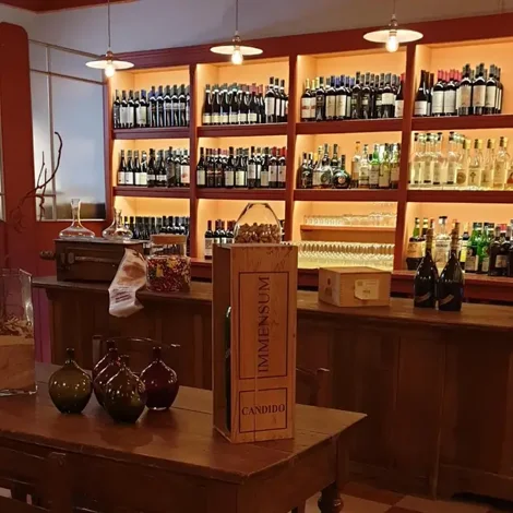 casa%20dei%20ciliegi%20interno.webp