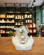 porta-confetti-orbita-di-luna