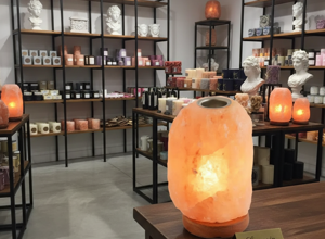 whisk_b9757ff2c0e24df8fb8450e5907f306adr