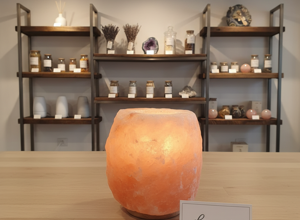 whisk_0e636e2d5ad071eab704063edbe3894cdr