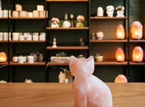 copia di copia di armonia tra corpo, mente e spirito