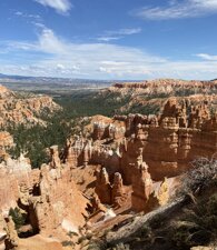 img_3503.jpeg img_3503.jpeg