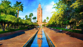 marra.jpeg marra.jpeg