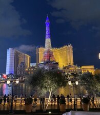 img_4520.jpeg img_4520.jpeg