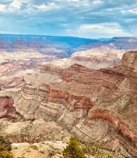 img_4442.jpeg img_4442.jpeg