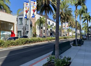 img_3198.jpeg img_3198.jpeg