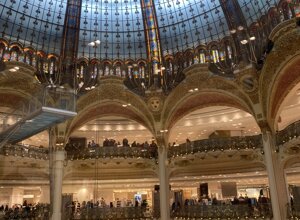 img_1170.jpeg img_1170.jpeg