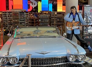 img_3220.jpeg img_3220.jpeg