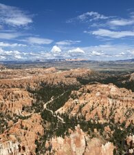 img_3868.jpeg img_3868.jpeg