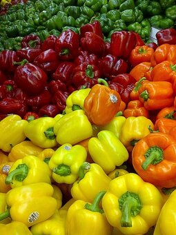 allons épicerie - les legumes.jpeg