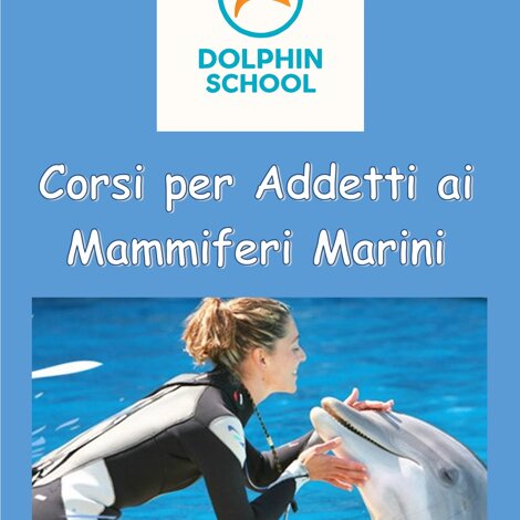 img-20251013-wa0082.jpeg img-20251013-wa0082.jpeg