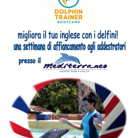 pubblicazione2.jpeg pubblicazione2.jpeg