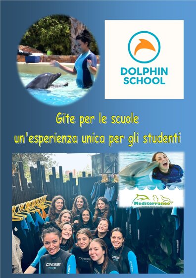 pubblicazione scuole.jpeg pubblicazione scuole.jpeg