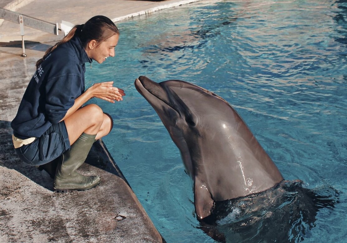 146274614_1685741961605367_3728388799997101510_o.jpeg 146274614_1685741961605367_3728388799997101510_o.jpeg