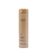 blonde-reconstructor-n-1-blonde-keeper-shampoo-250-ml