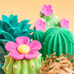 i-prickly-pals-gli-spinaroli-del-deserto