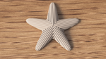 starfish