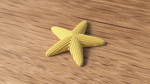 starfish