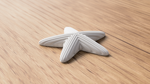 starfish