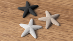 starfish