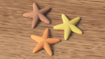 starfish