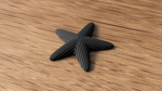 starfish