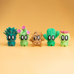i-prickly-pals-gli-spinaroli-del-deserto