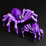 spidy