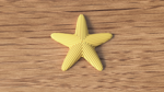 starfish