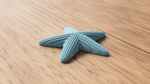 starfish