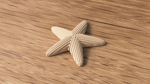 starfish