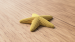 starfish