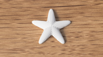 starfish