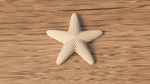 starfish