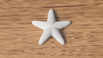 starfish