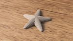 starfish