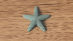 starfish